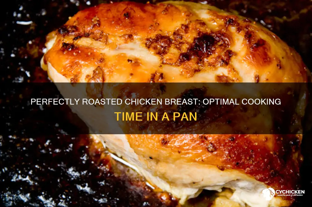 how long to cook chicken breast in roasting pan