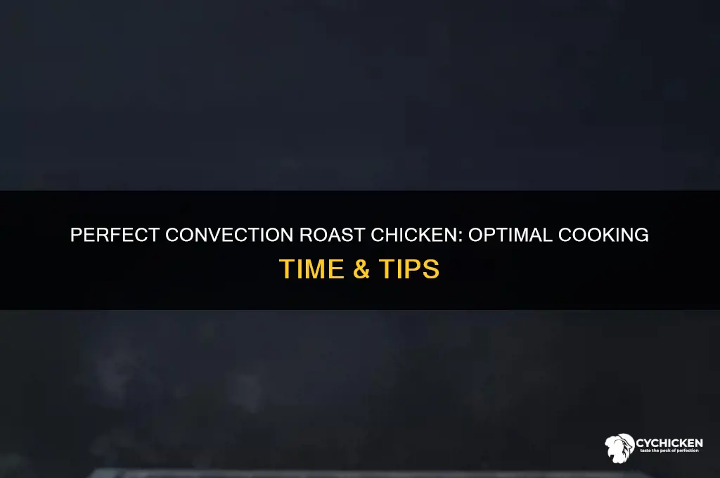 how long to cook chicken on convection roast