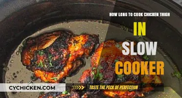 Perfect Slow Cooker Chicken Thighs: Timing Tips for Juicy Results