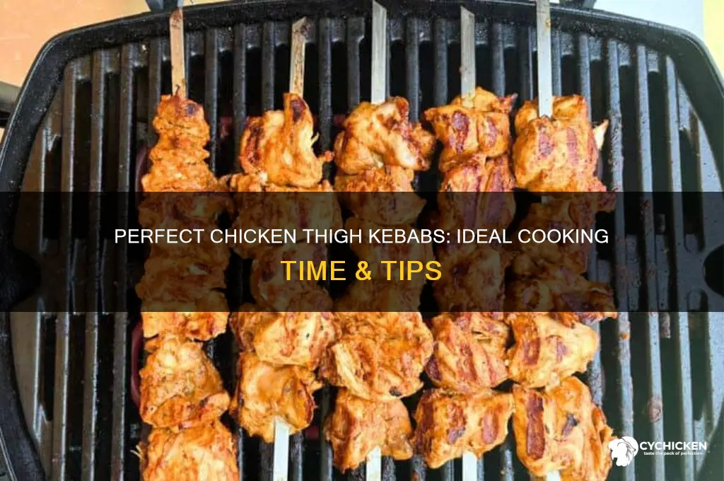 how long to cook chicken thigh kebabs