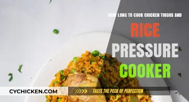 Perfect Pressure Cooker Chicken Thighs and Rice: Quick Cooking Guide