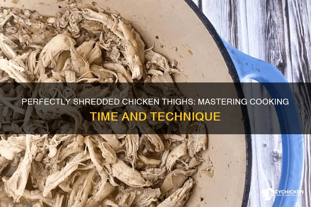 how long to cook chicken thighs for shredding