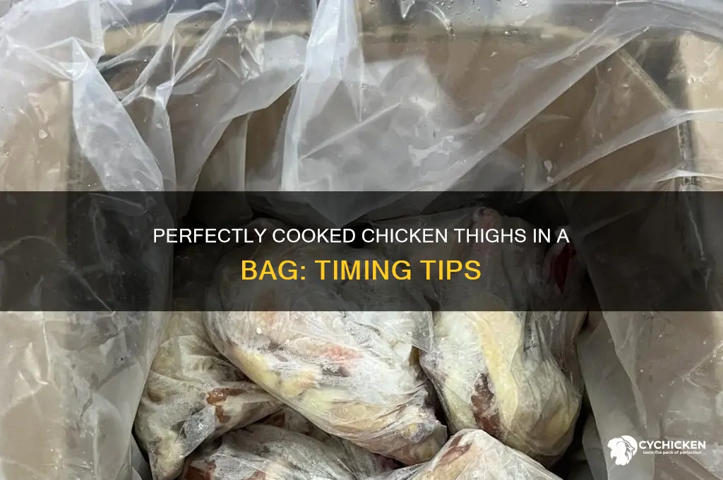 how long to cook chicken thighs in a bag