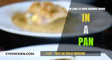 Perfect Pan-Seared Chicken Thighs: Timing Tips for Juicy Results