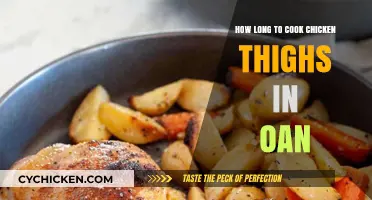 Perfectly Cooked Chicken Thighs in Oven: Timing and Tips
