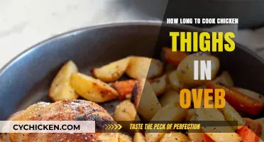 Perfectly Cooked Chicken Thighs: Oven Timing Tips and Tricks