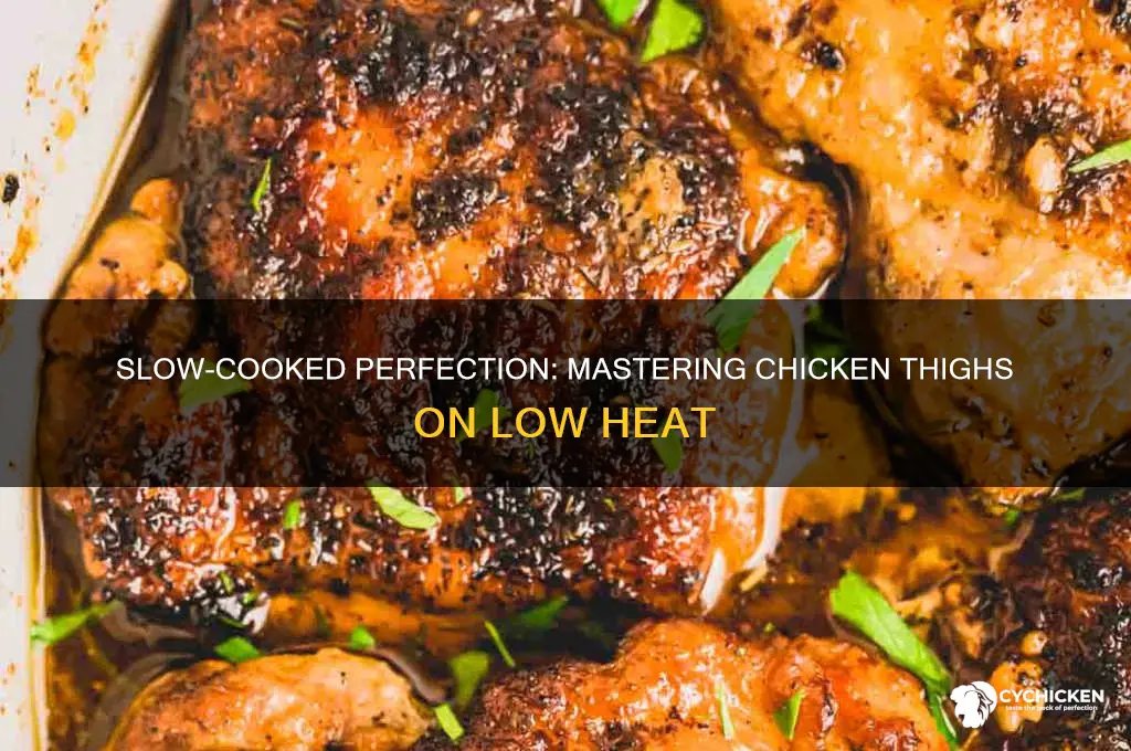 how long to cook chicken thighs on low