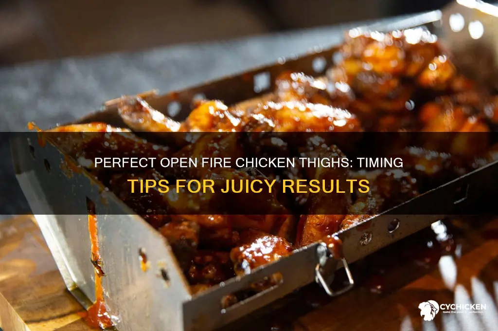 how long to cook chicken thighs on open fire