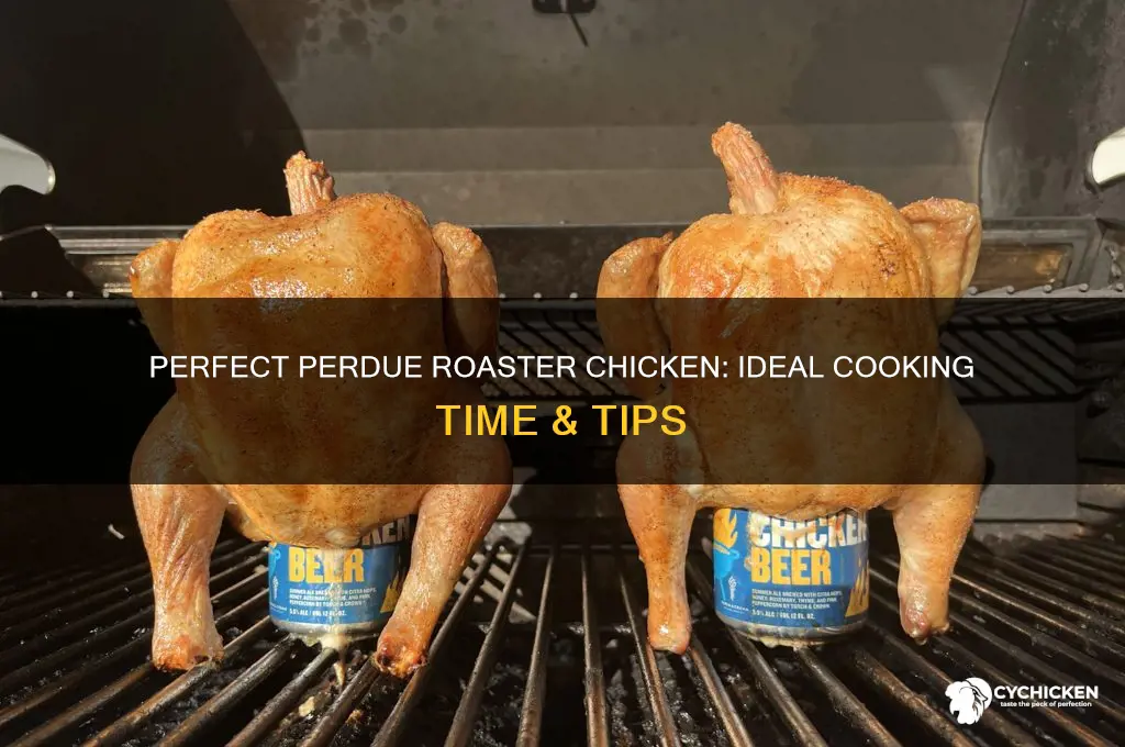 how long to cook perdue roaster chicken