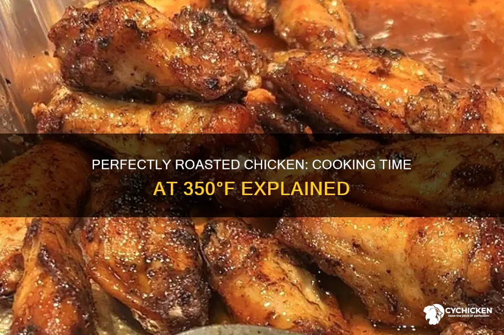 how long to cook roasted chicken at 350