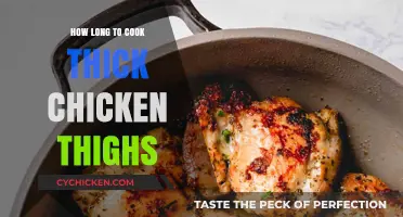 Perfectly Cooked Thick Chicken Thighs: Timing Tips for Juicy Results