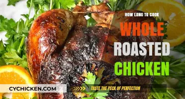 Perfect Whole Roasted Chicken: Timing Tips for Juicy, Golden Results
