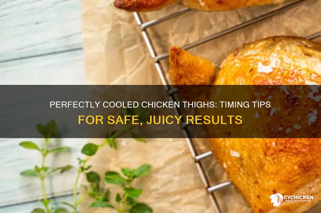 how long to cool chicken thigh