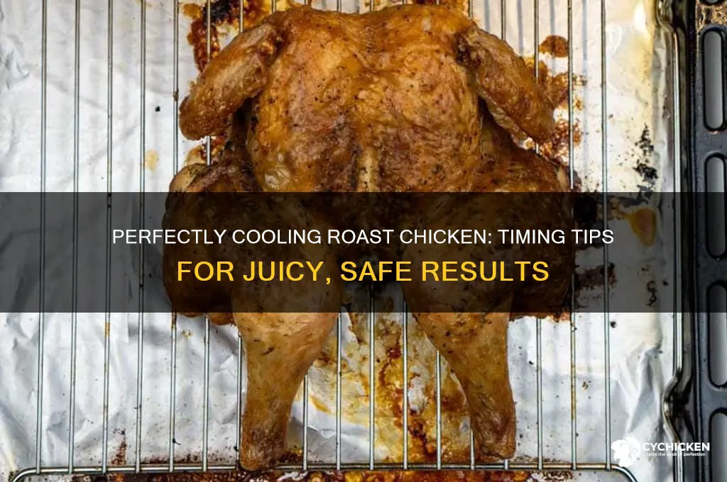 how long to cool roast chicken