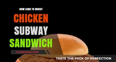 Digesting a Chicken Subway Sandwich: Timeframe and Factors Explained