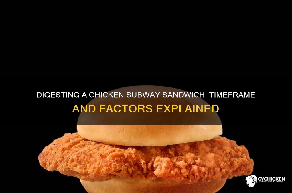how long to digest chicken subway sandwich