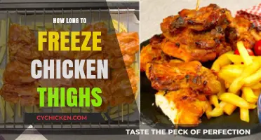 Freezing Chicken Thighs: Optimal Time and Storage Tips for Freshness