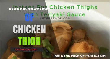 Perfectly Cooked 2 Pounds of Chicken Thighs in the Instant Pot