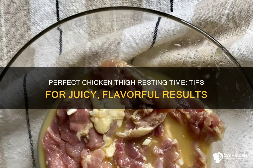 how long to let chicken rest thigh