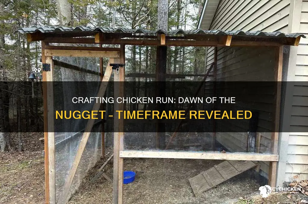 how long to make chicken run dawn of the nugget