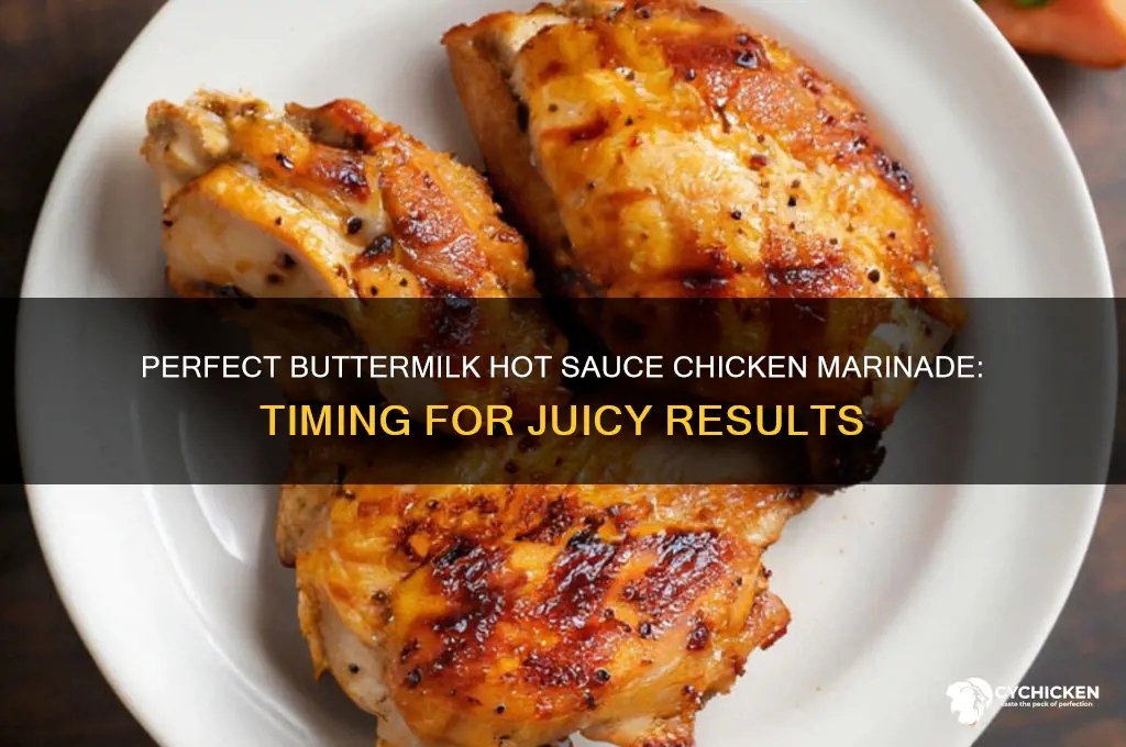 how long to marinate chicken in buttermilk and hot sauce
