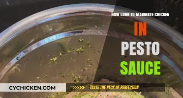 Perfect Pesto Marinade: Ideal Time for Flavorful Chicken