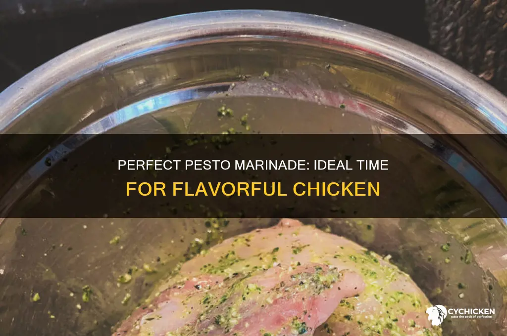 how long to marinate chicken in pesto sauce