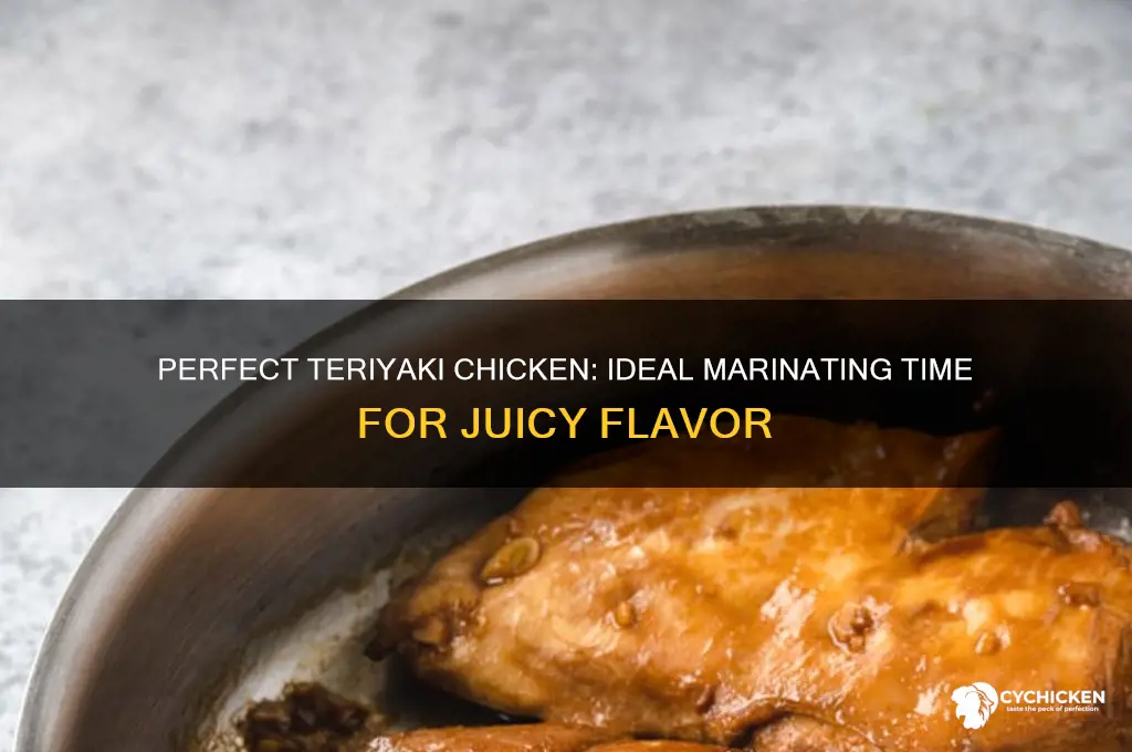 how long to marinate chicken in teriyaki sauce