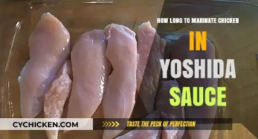 Perfect Yoshida Sauce Chicken Marinade: Timing Tips for Juicy Results