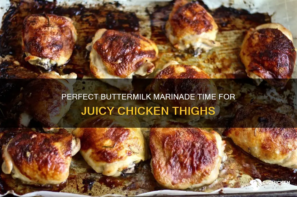 how long to marinate chicken thighs in buttermilk