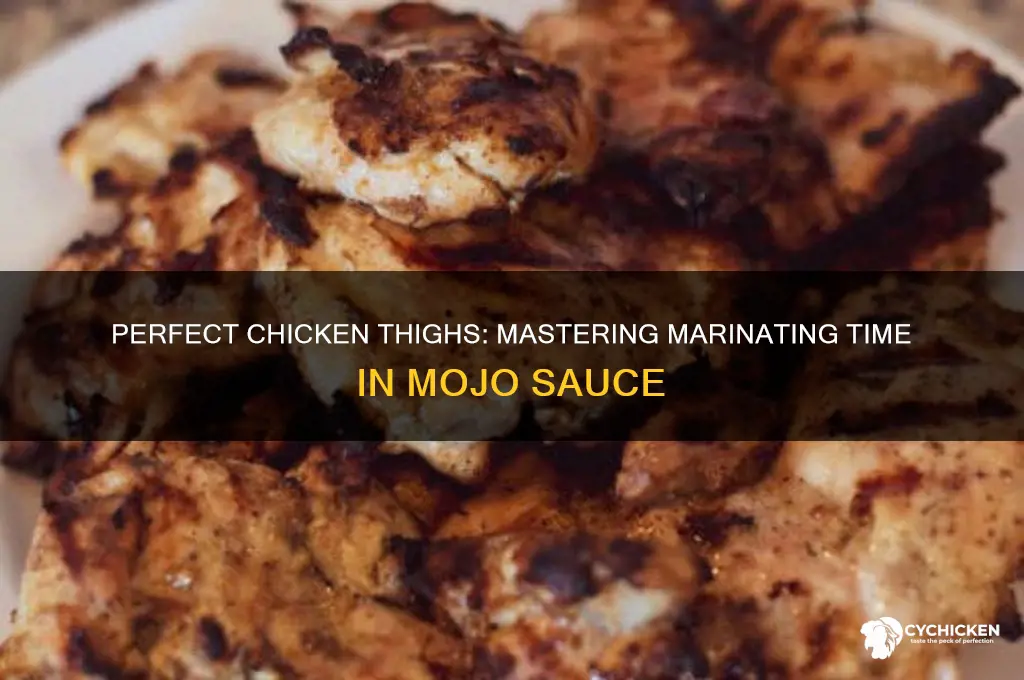 how long to marinate chicken thighs in moho