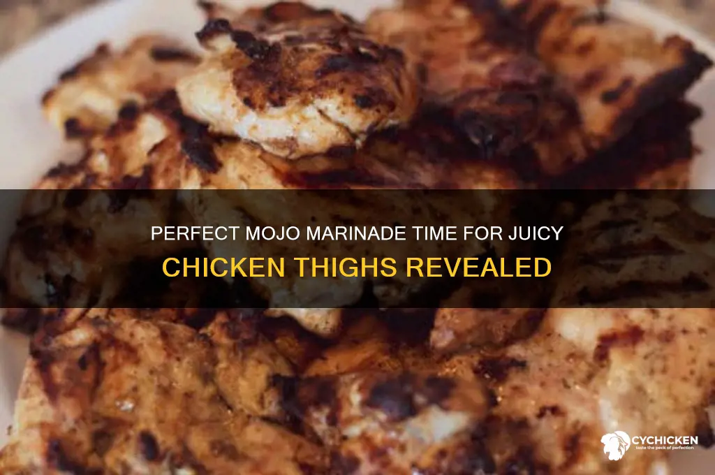 how long to marinate chicken thighs in mojo