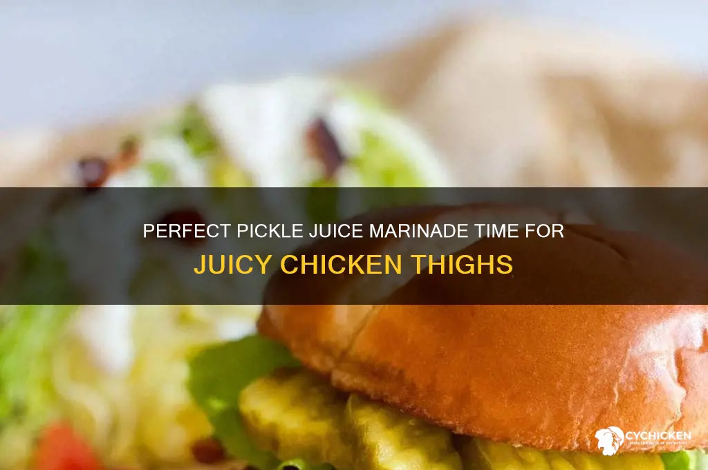 how long to marinate chicken thighs in pickle juice