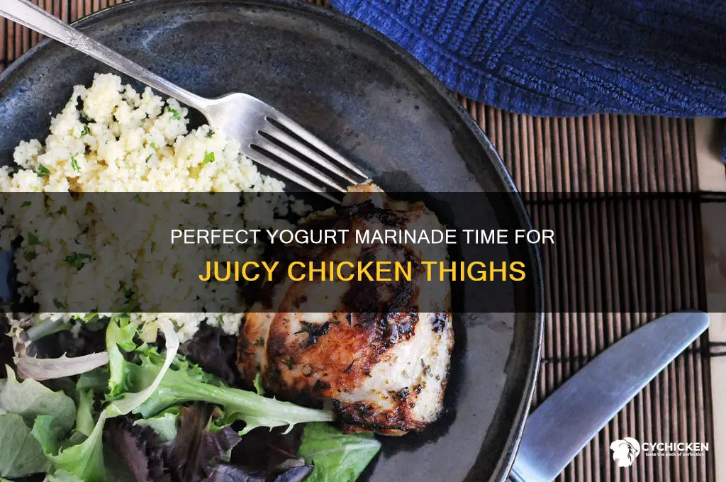 how long to marinate chicken thighs in yogurt
