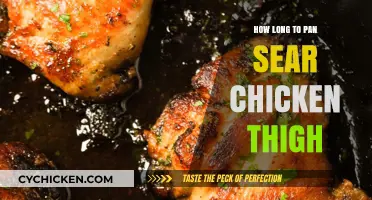 Perfect Pan-Seared Chicken Thighs: Timing Tips for Juicy Results