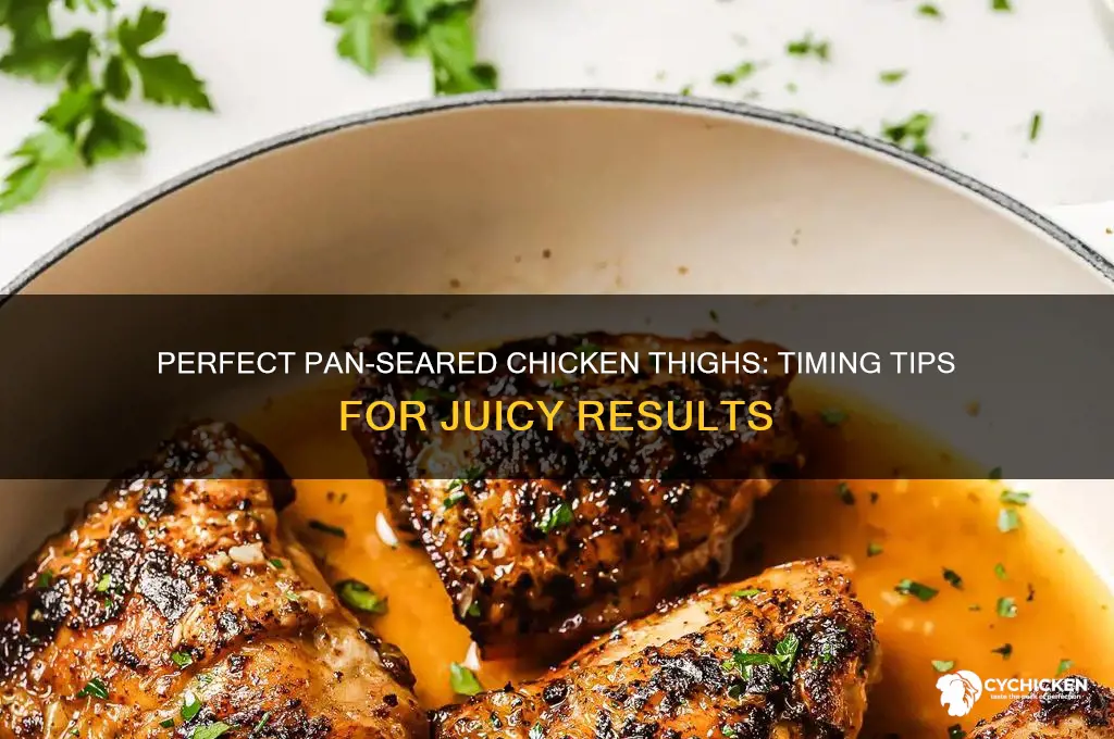 how long to pan sear chicken thigh