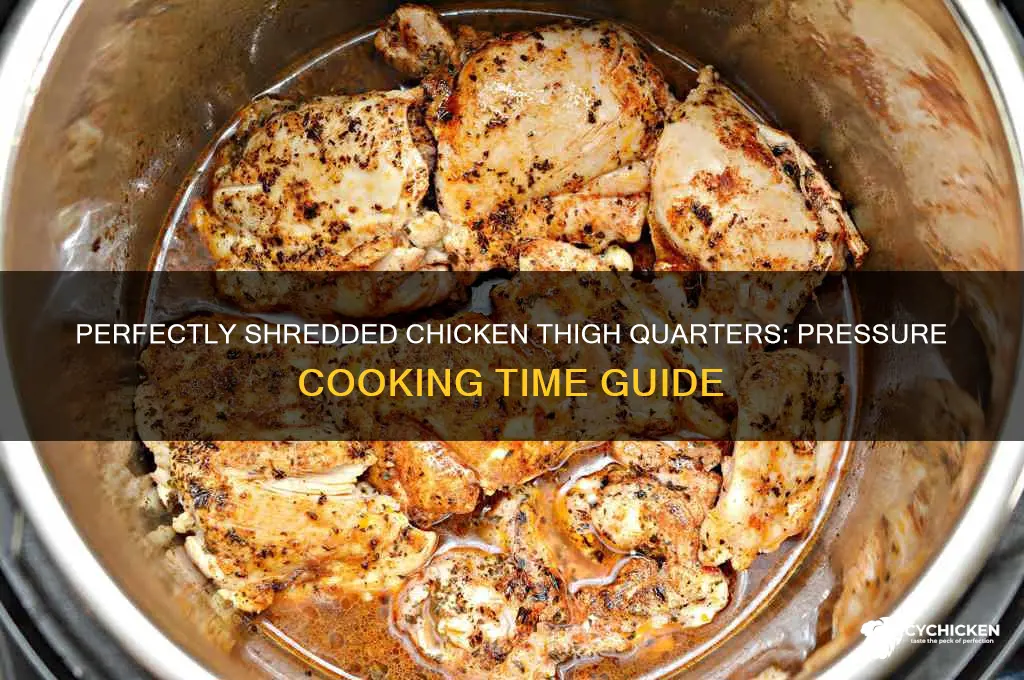 how long to pressure cook chicken thigh quarters for shredded