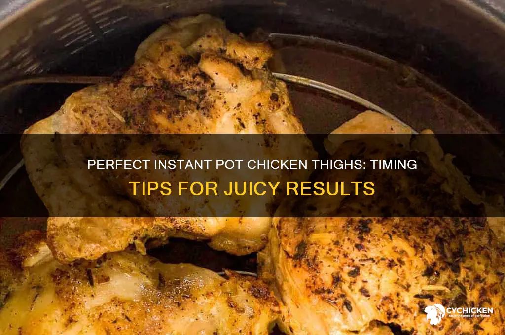 how long to put chicken thighs in instant pot