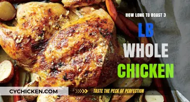 Perfect Roast: Timing for a 3-Pound Whole Chicken Explained