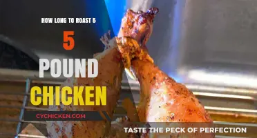Perfect Roast: Timing for a 5.5 Pound Chicken Explained