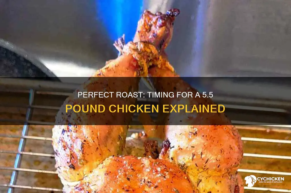 how long to roast 5 5 pound chicken