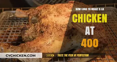 Perfect Roast: 5 lb Chicken at 400°F Timing Guide