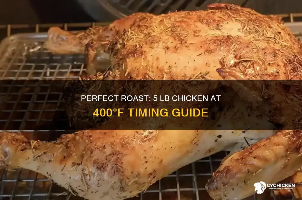 how long to roast 5 lb chicken at 400