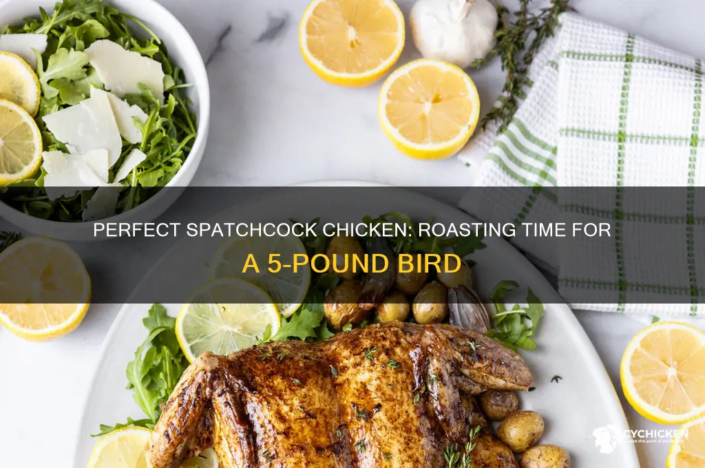 how long to roast 5 lb spatchcock chicken