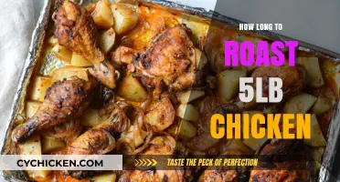 Perfect Roast: Timing for a Juicy 5-Pound Chicken