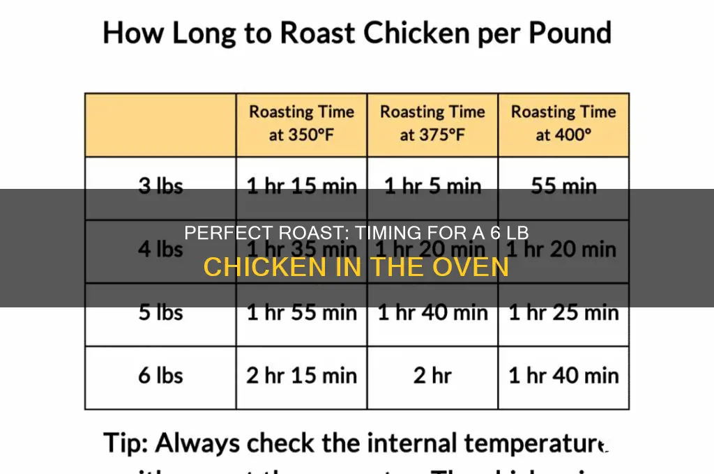 how long to roast 6t lb chicken
