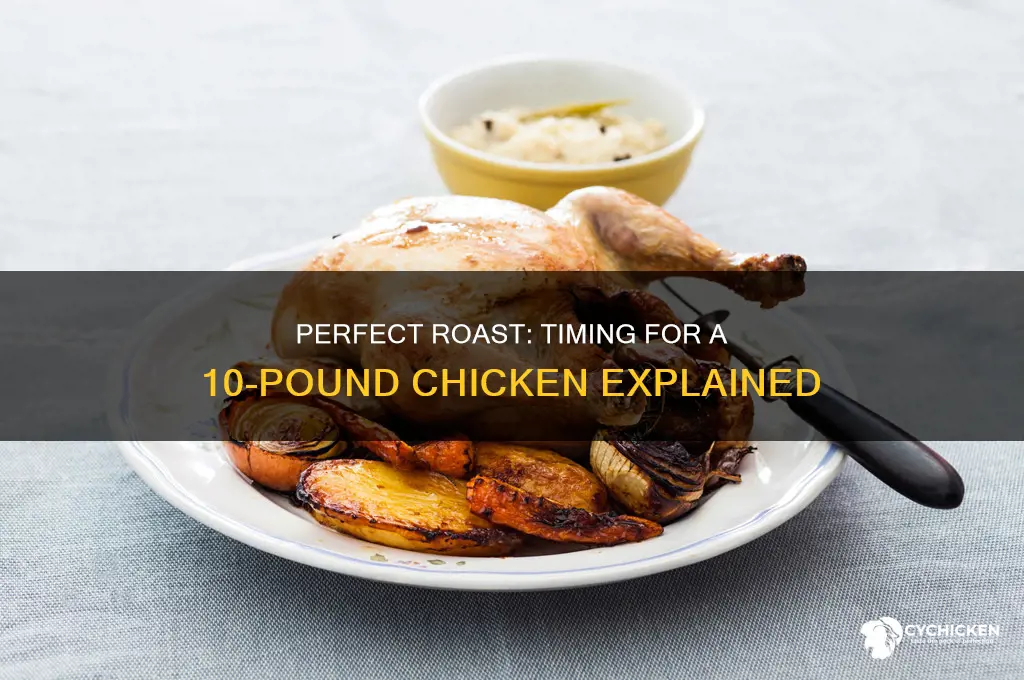 how long to roast a 10 pound chicken