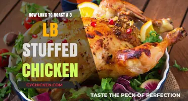 Perfectly Roasted 3 lb Stuffed Chicken: Timing and Tips