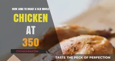 Perfect Roast: 5lb Whole Chicken at 350°F Timing Guide