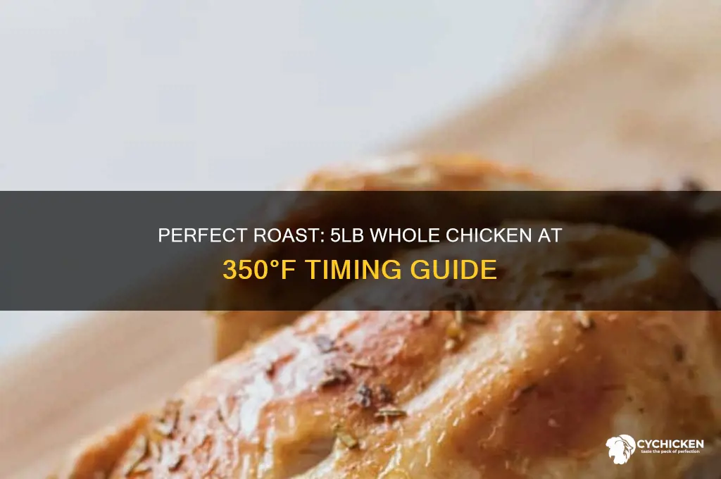 how long to roast a 5lb whole chicken at 350